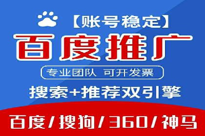 行业领先企业的SEM优化之路